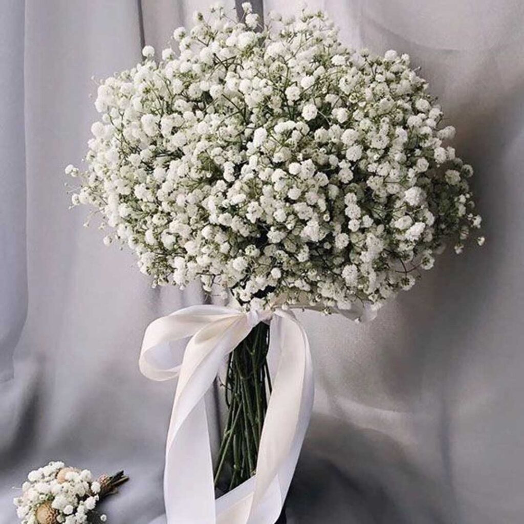 گل عروس