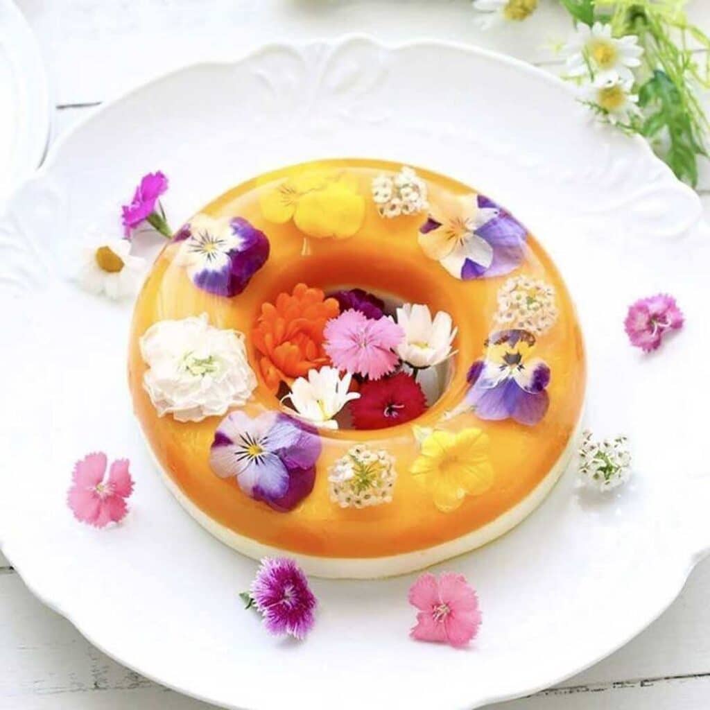 ژله ویترینی
