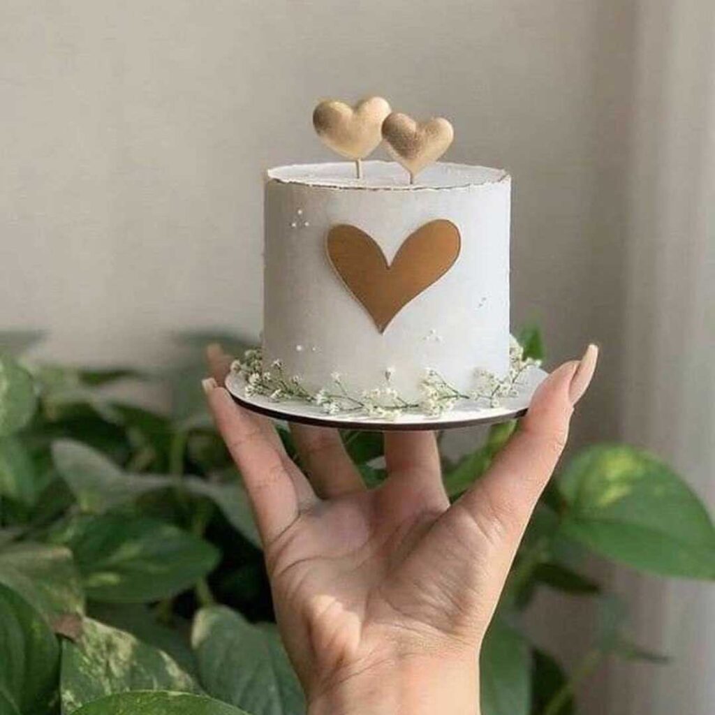 مینی کیک مینمال
