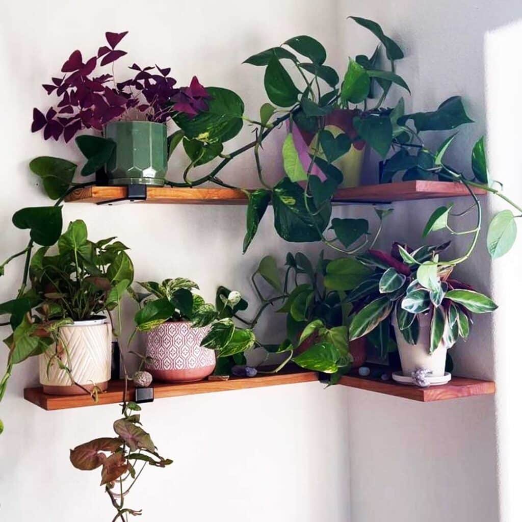 شلف دیواری گل گوشه خانه