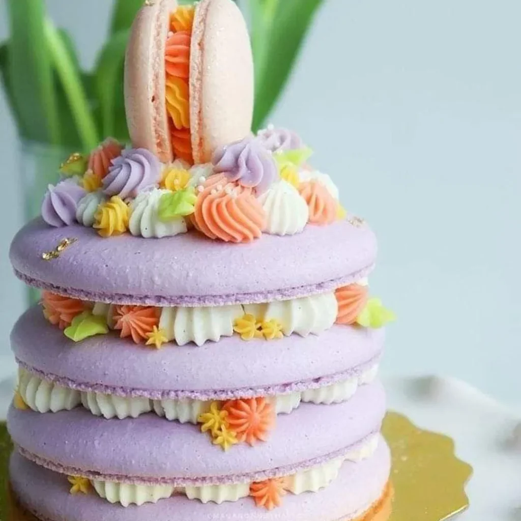 Cute macaron cake models