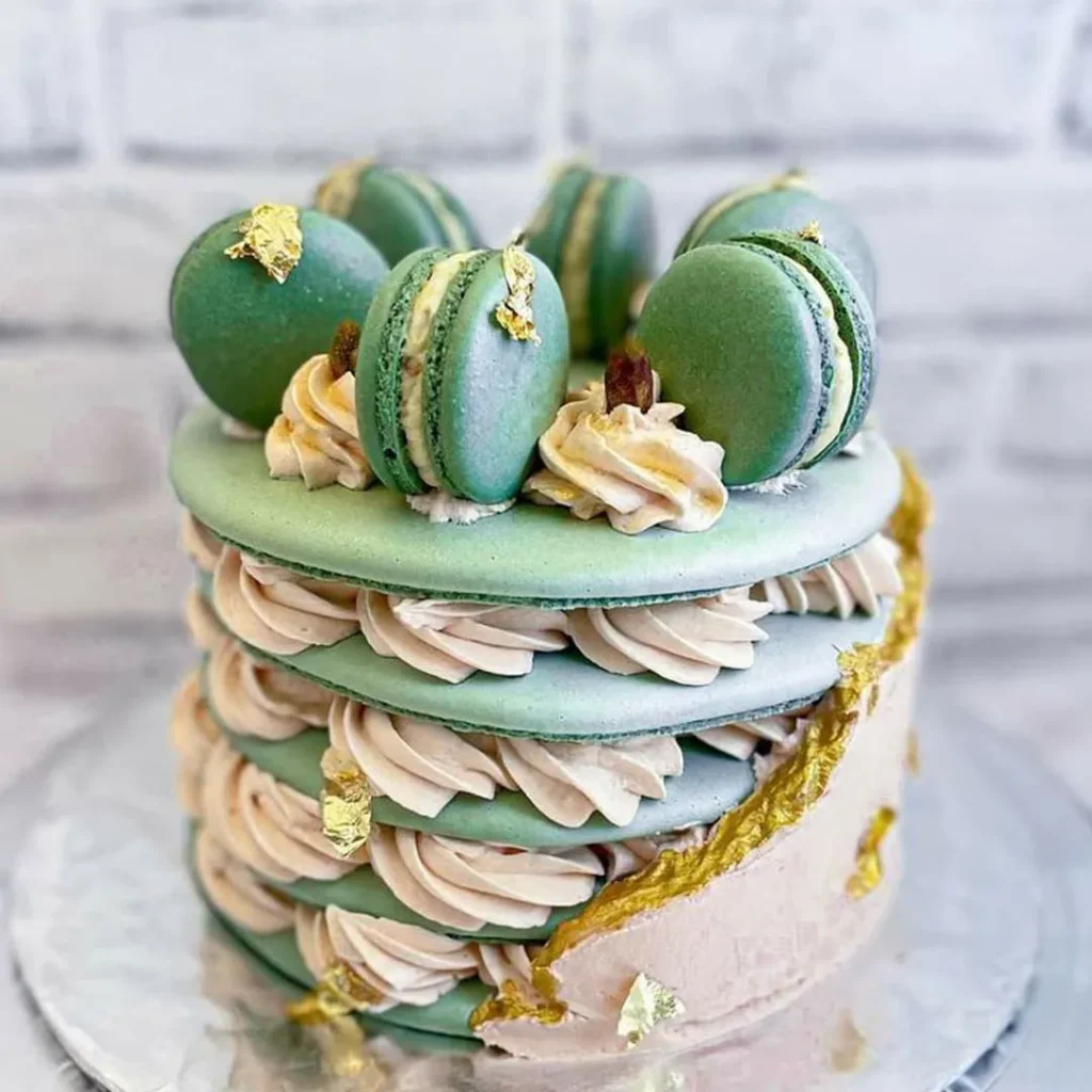 Luxury cake macaron models