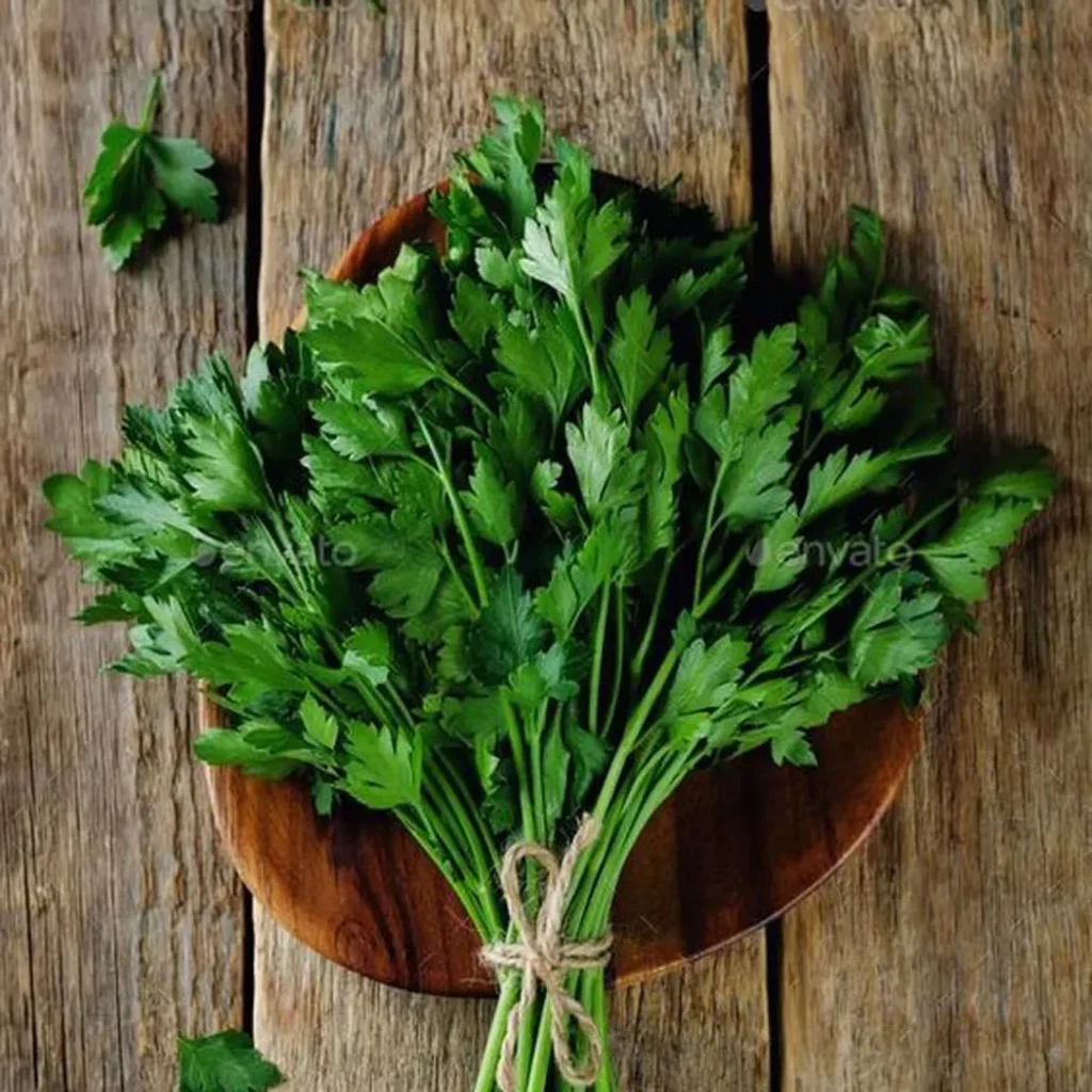 خواص جعفری