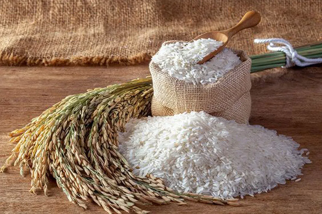 دانستنی هایی درباره خواص بی نظیر برنج