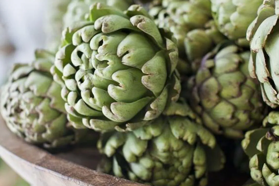 کنگر فرنگی و خواص بی نظیر آن برای سلامتی