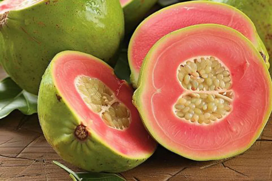 دانستنی هایی درباره خواص بی نظیر میوه گواوا