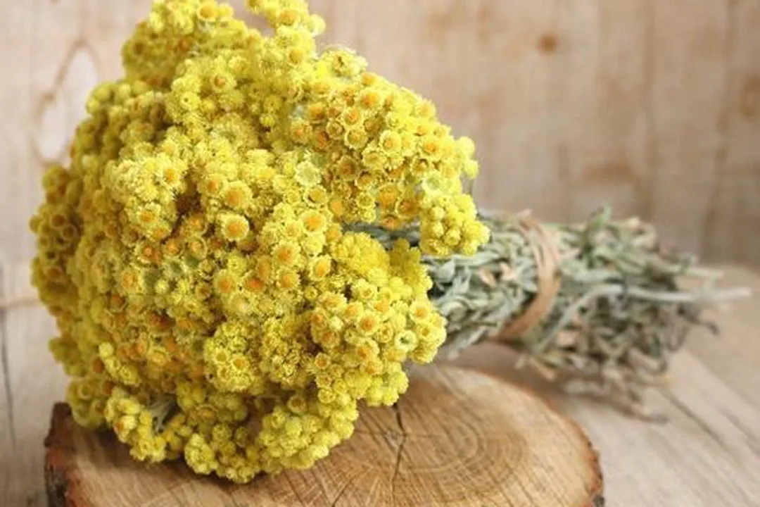 دانستنی هایی درباره خواص شگفت انگیز گیاه بومادران