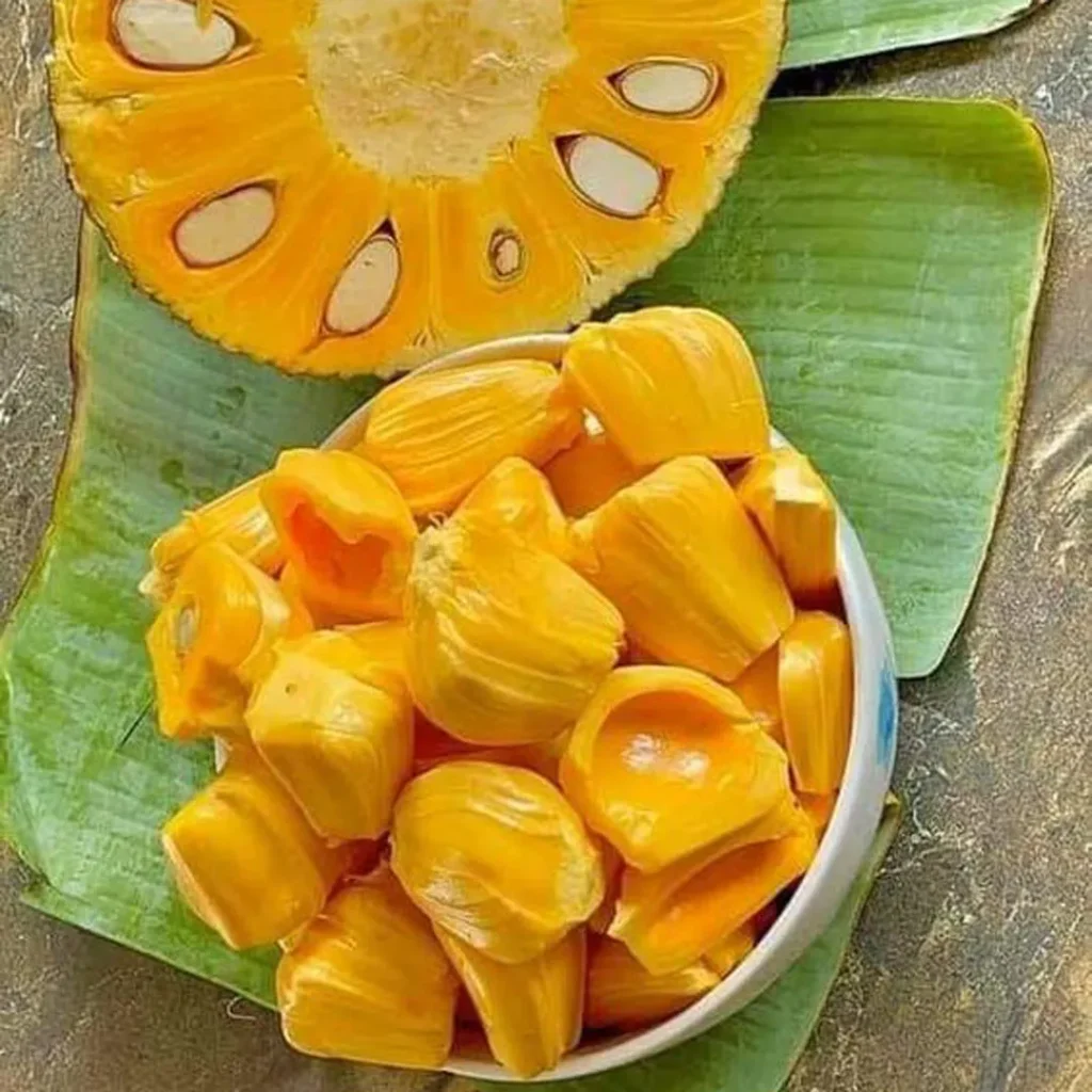 جک فروت