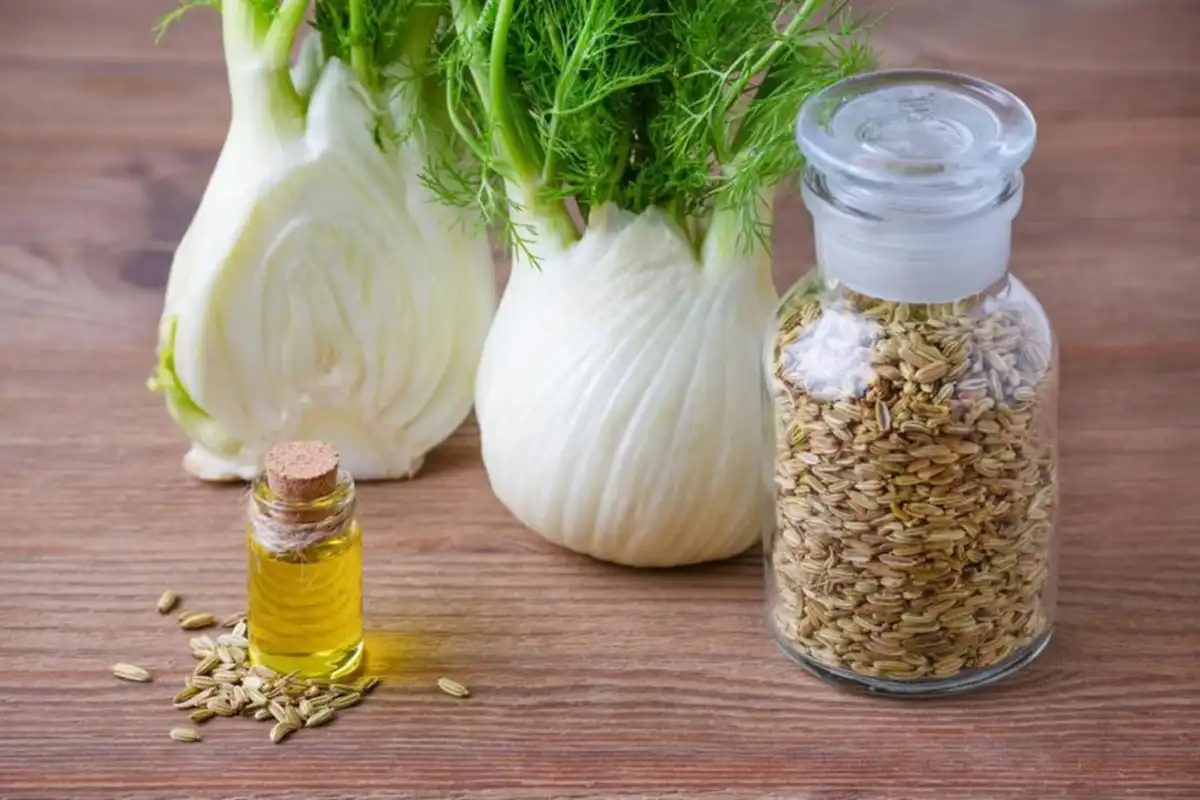 خواص باور نکردنی رازیانه برای سلامتی