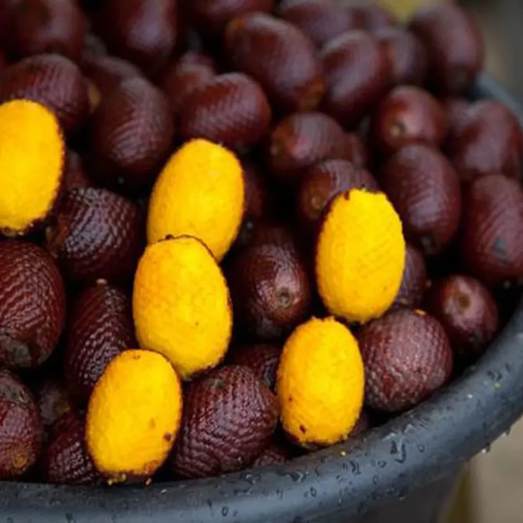 خواص آگوجه