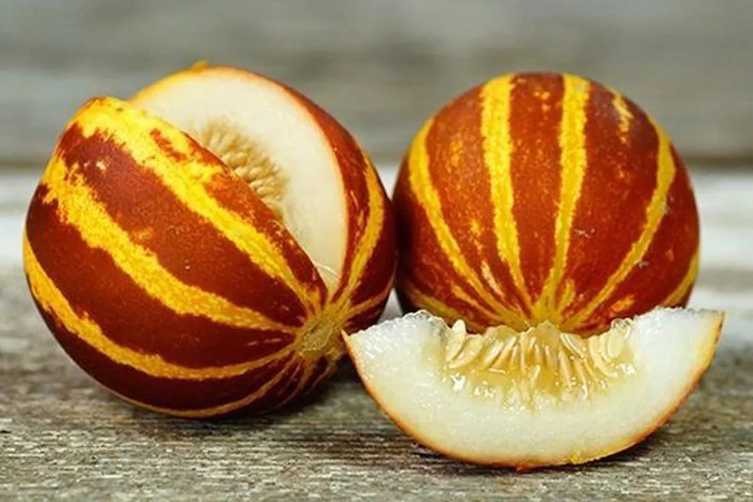 دانستنی هایی درباره خواص بی نظیر میوه خربزه مینیاتوری