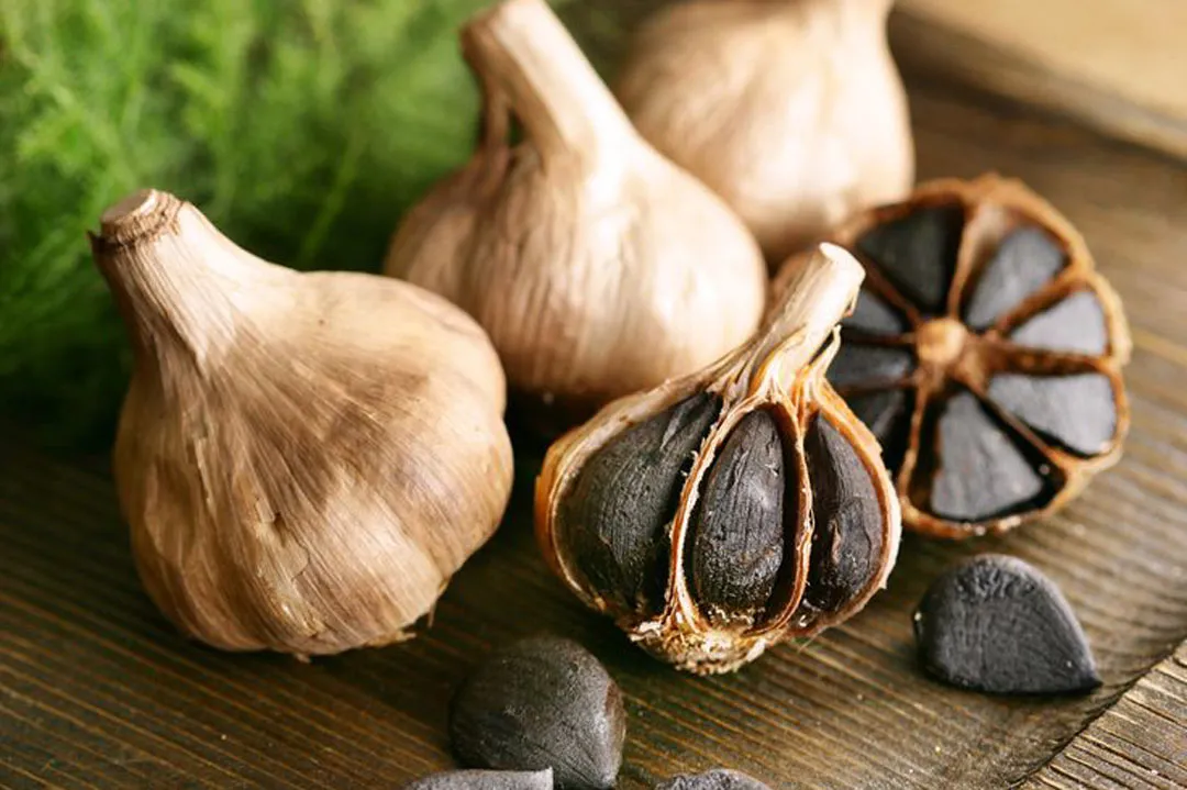 سیرسیاه و دانستنی هایی درباره خواص آن