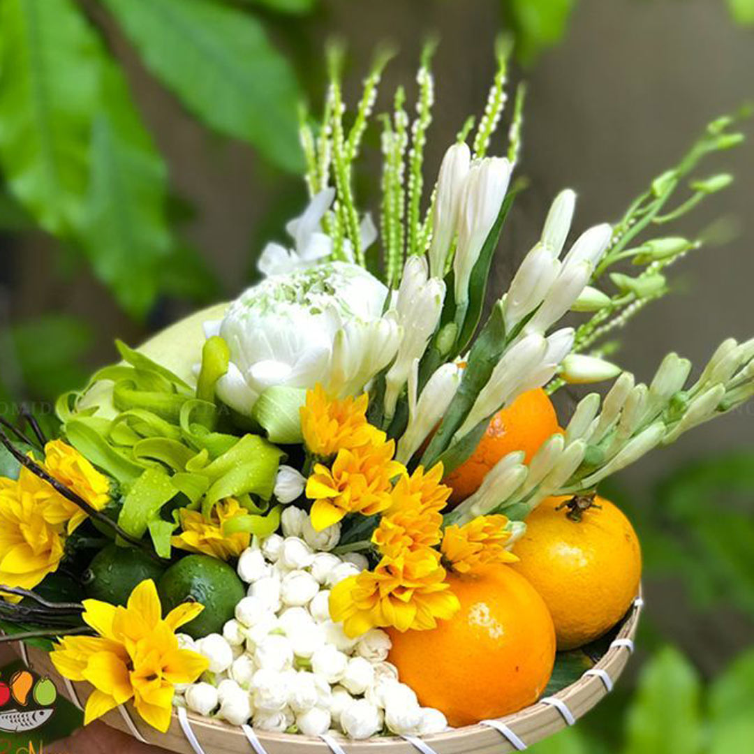 دیزاین میوه جذاب