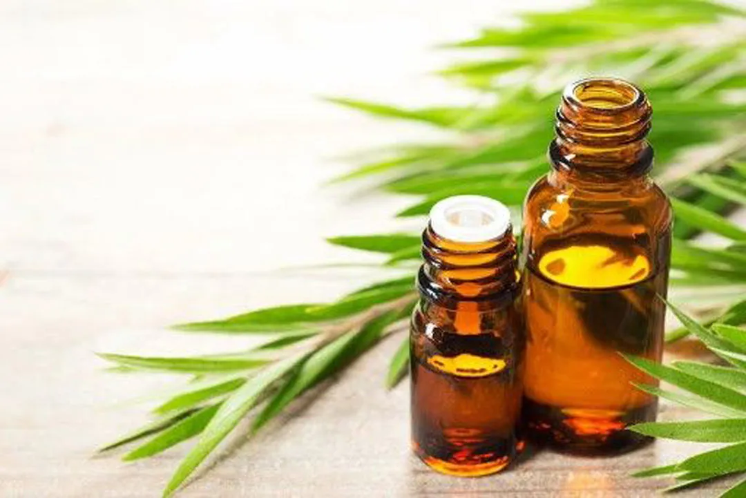 خواص شگفت انگیز و بی نظیر روغن جوجوبا