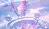 جذاب ترین مجموعه والپیپر پروانه برای گوشی و دسکتاپ🦋