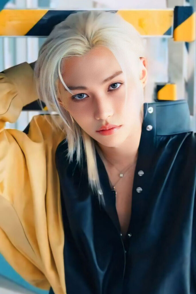 فلیکس از استری کیدز (Stray Kids)