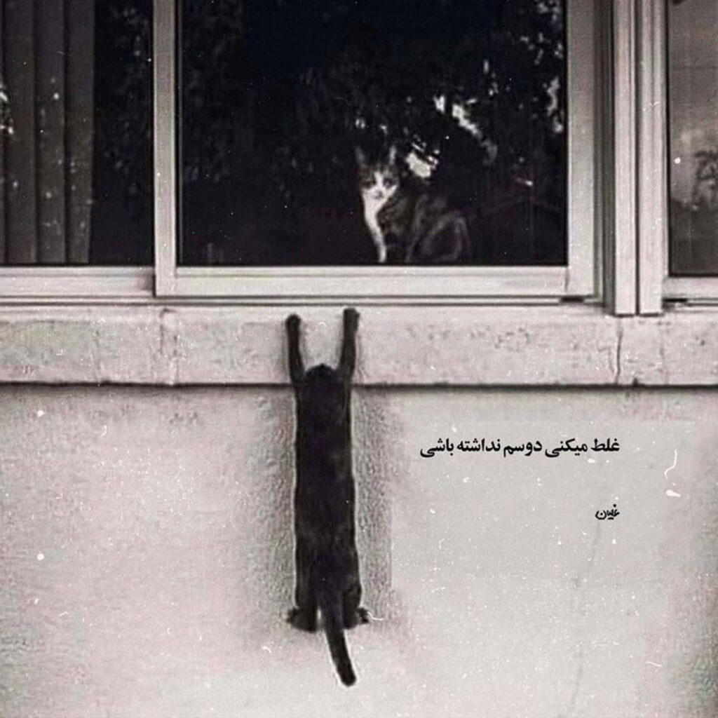 عکس‌ نوشته‌ فانتزی برای پروفایل و استوری