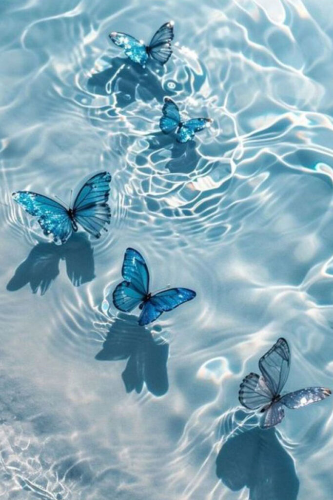 جذاب ترین مجموعه والپیپر پروانه برای گوشی و دسکتاپ🦋