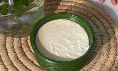 طرز تهیه ماست خانگی از این سفت‌ تر نداریم ! 😍 + ویدئو آموزشی