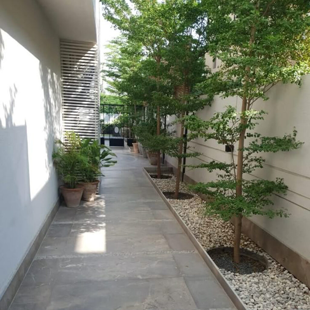 طراحی حیاط زیبا و خاص